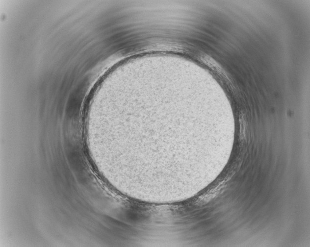 X0000059080828200511041819