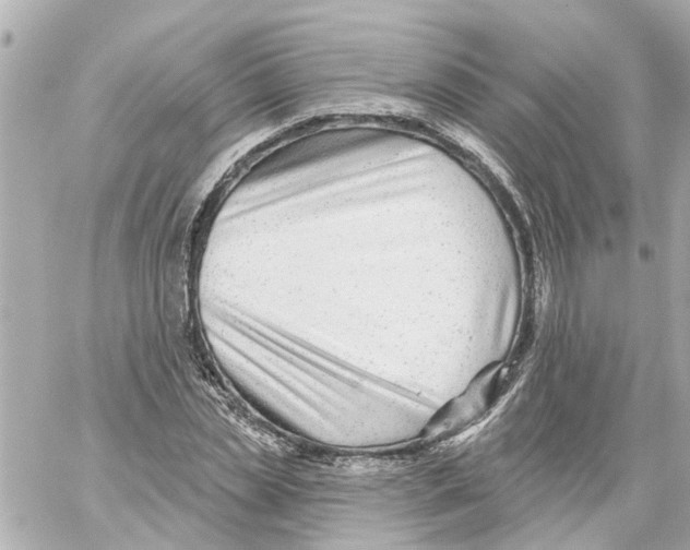 X0000059080829200511041819