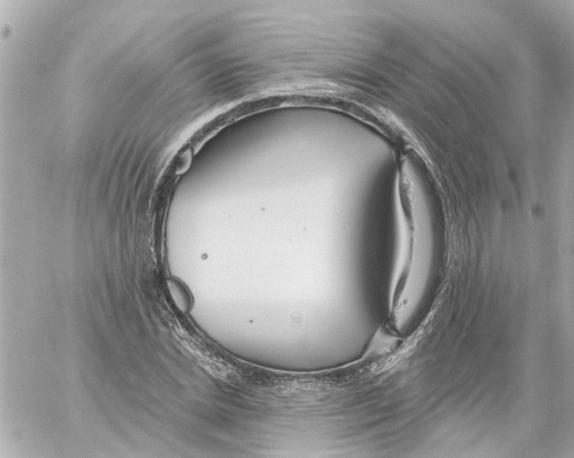 X0000059080830200511041819