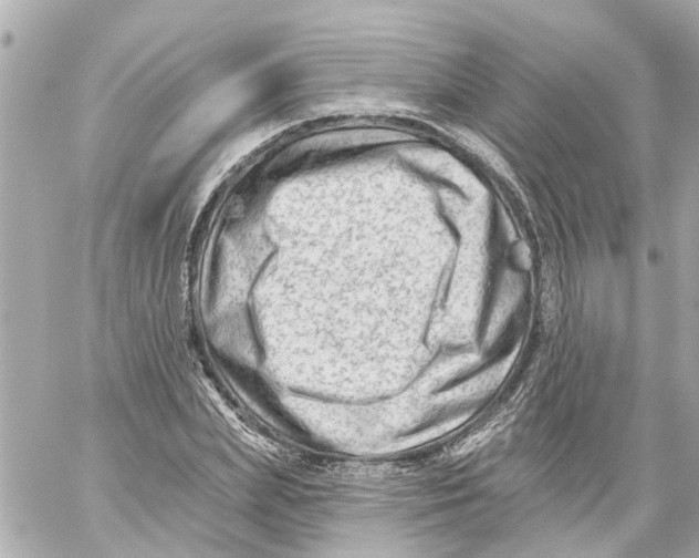 X0000059080831200511041819