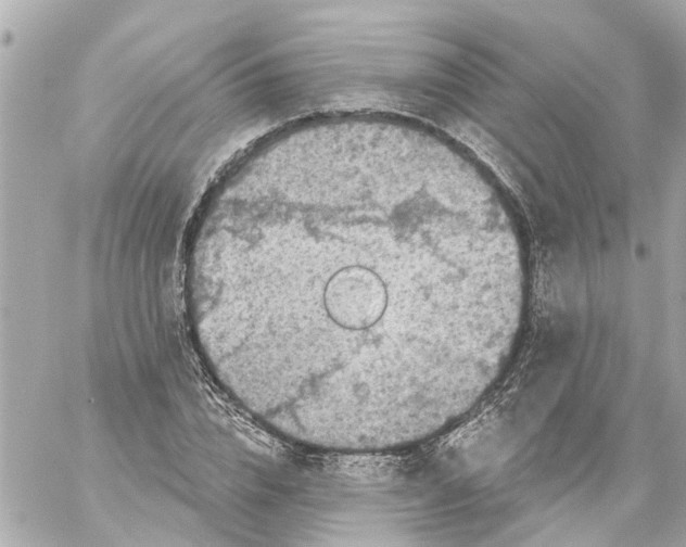 X0000059080832200511041819