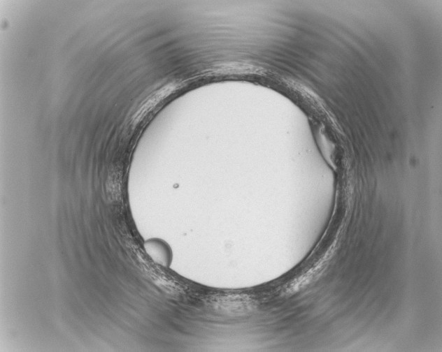 X0000059080833200511041819