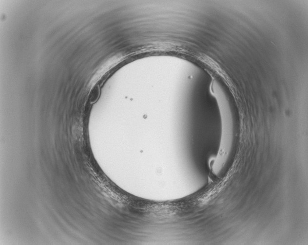 X0000059080834200511041819