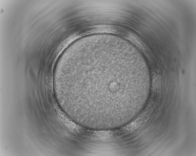 X0000059080836200511041819