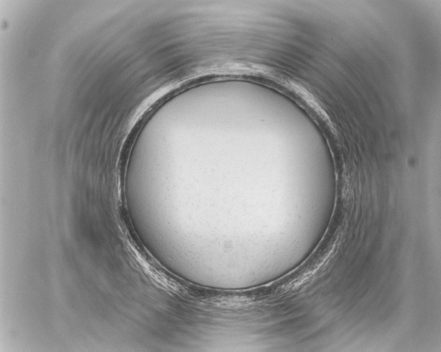 X0000059080837200511041819