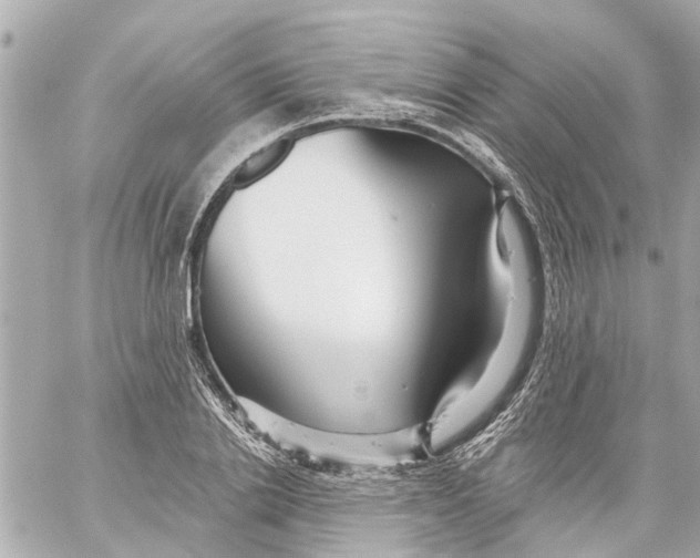 X0000059080838200511041819