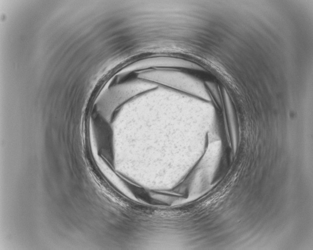 X0000059080840200511041819