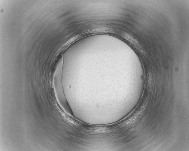 X0000059080841200511041819