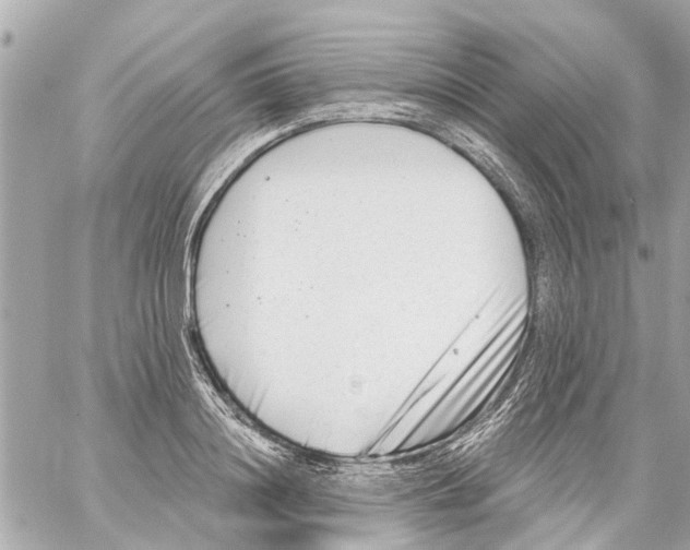 X0000059080844200511041819