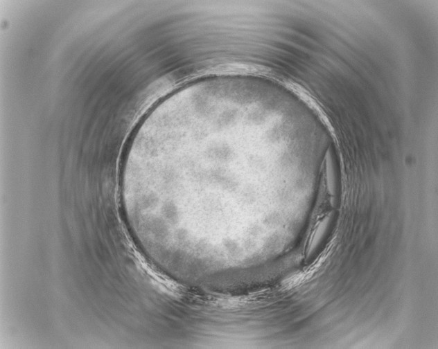 X0000059080845200511041819