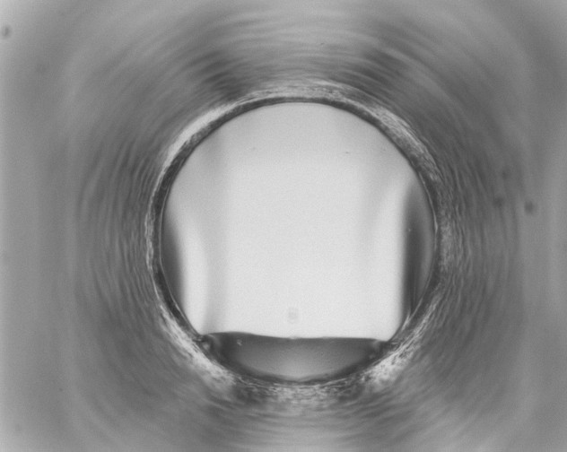 X0000059080846200511041819