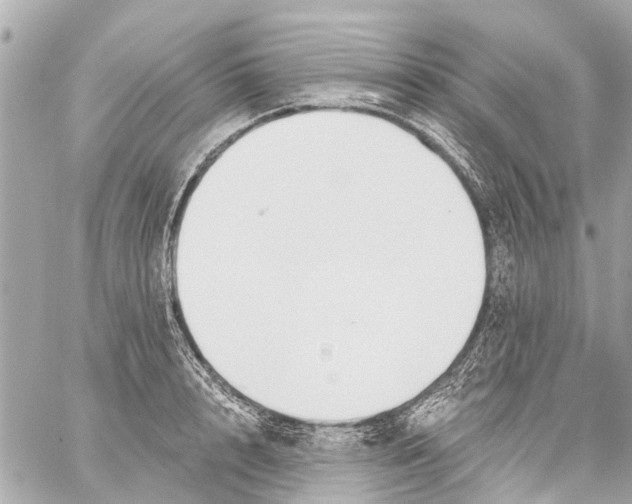 X0000059080848200511041819