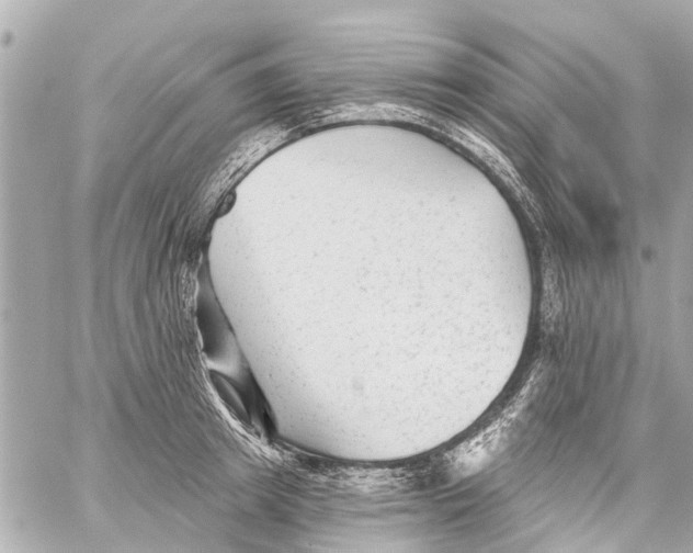 X0000059080849200511041819