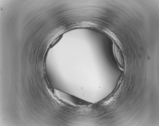 X0000059080850200511041819