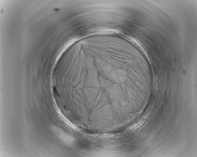 X0000059080851200511041819