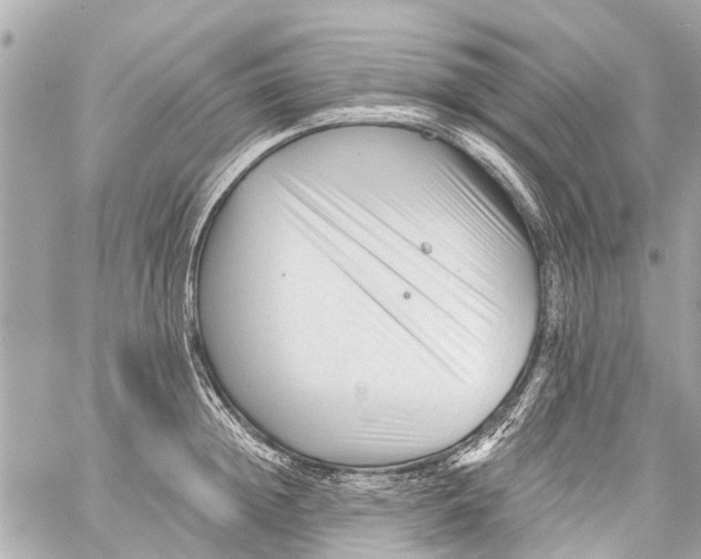 X0000059080852200511041819