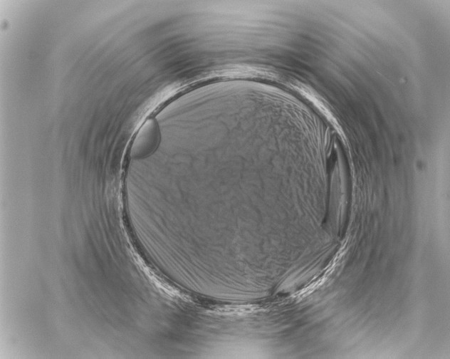 X0000059080853200511041819