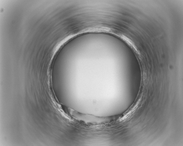 X0000059080854200511041819