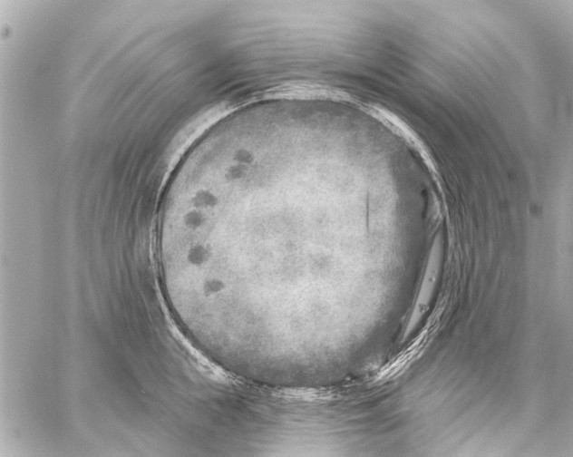 X0000059080855200511041819