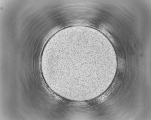 X0000059080856200511041819