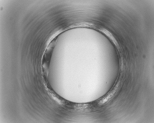 X0000059080858200511041819