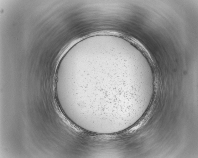 X0000059080860200511041819