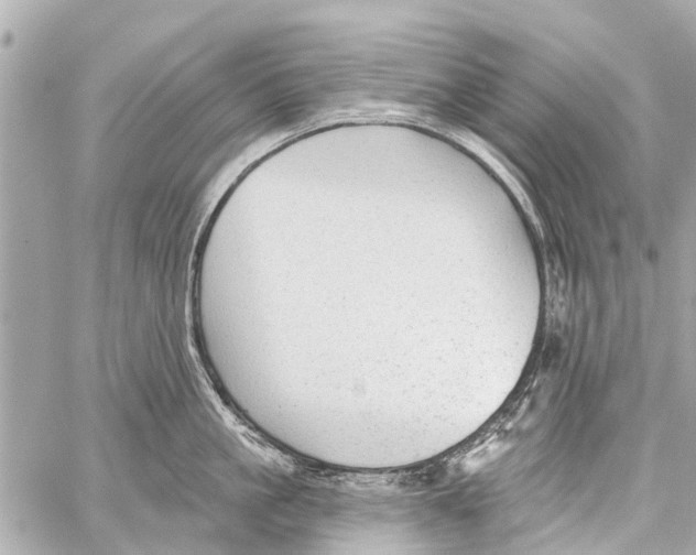 X0000059080861200511041819