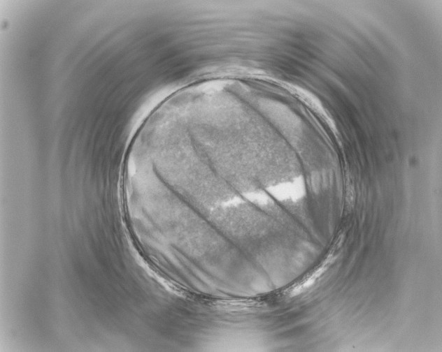 X0000059080863200511041819