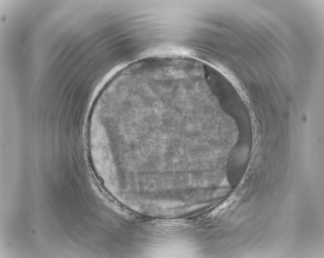 X0000059080864200511041819