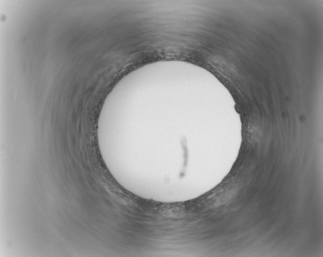 X0000059080865200511041819