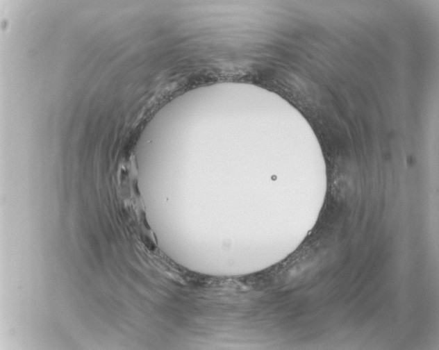 X0000059080866200511041818