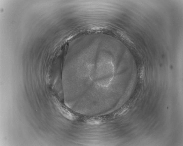 X0000059080868200511041818