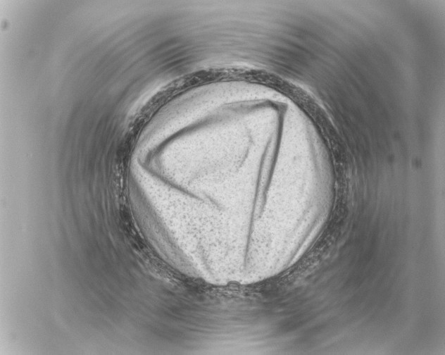 X0000059080871200511041818