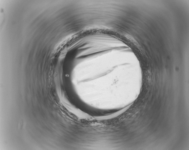 X0000059080872200511041818