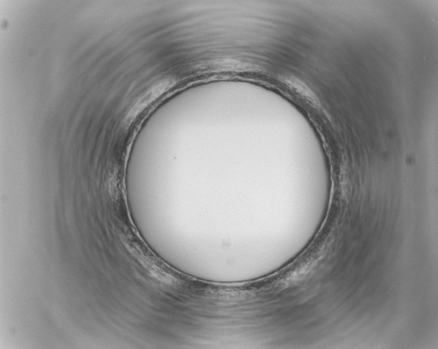 X0000059080873200511041818