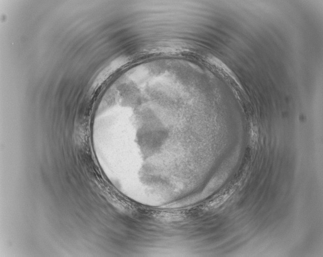 X0000059080874200511041818