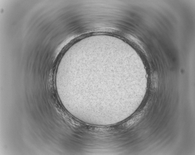 X0000059080875200511041818