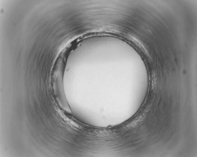 X0000059080876200511041818