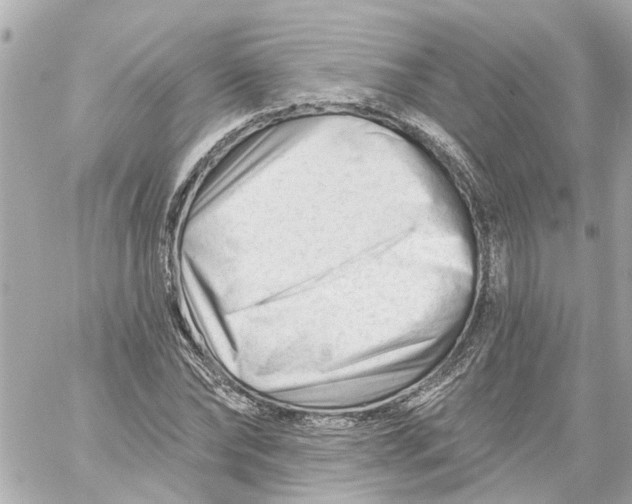 X0000059080878200511041818