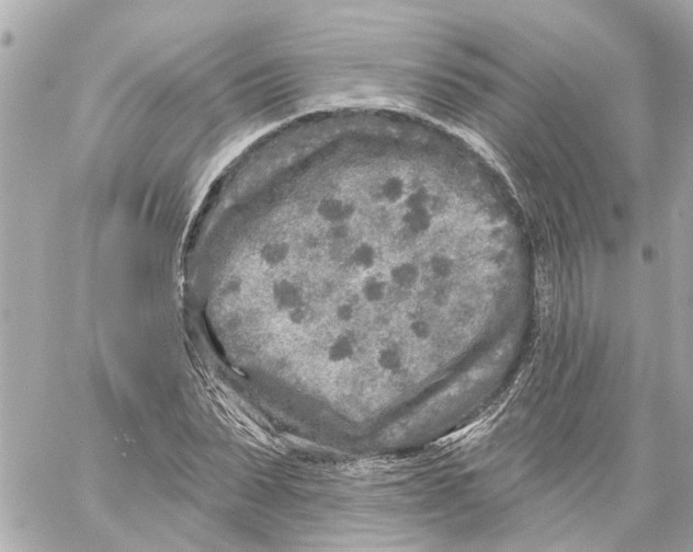 X0000059080879200511041818