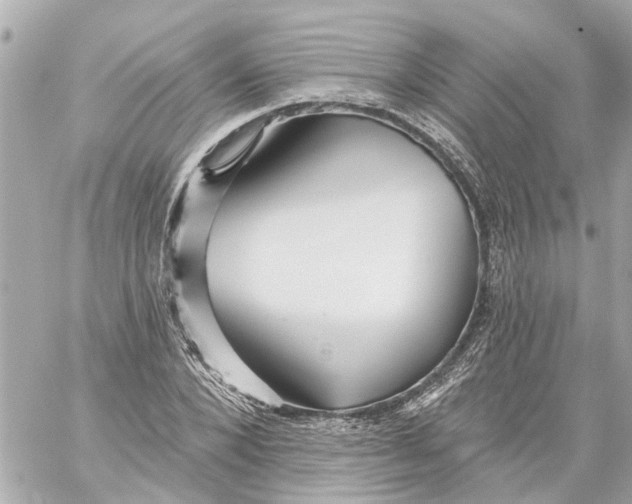 X0000059080880200511041818