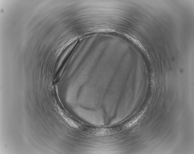 X0000059080881200511041818