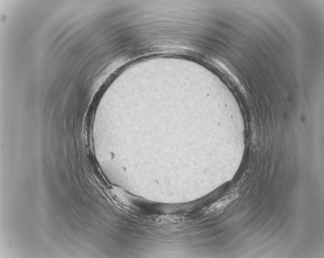 X0000059080883200511041818