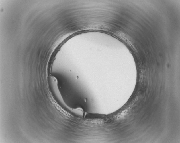 X0000059080884200511041818