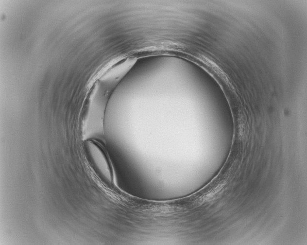 X0000059080885200511041818