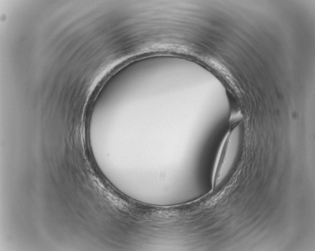 X0000059080888200511041818