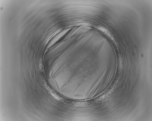 X0000059080889200511041818