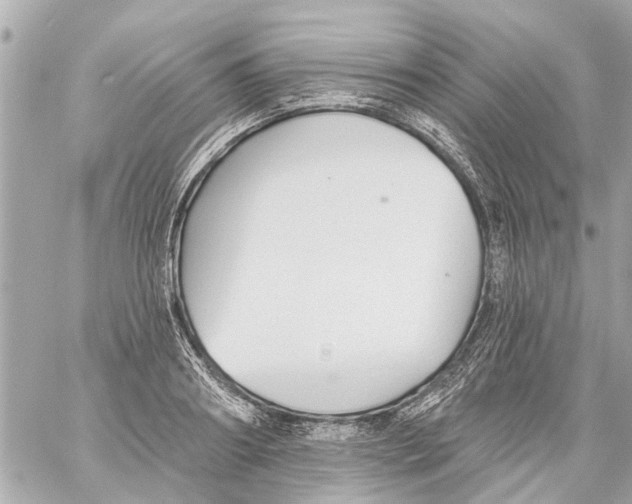 X0000059080890200511041818