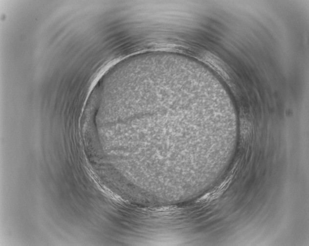 X0000059080891200511041818