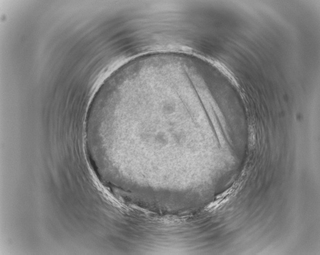 X0000059080895200511041818